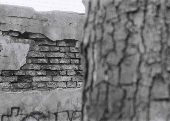 Dorota Rucińska - Texture (2) Brick, Diptych
