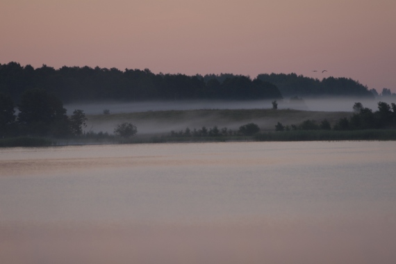 Dorota Rucińska - Dawn. No.1. Morning fog