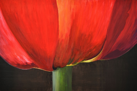 Jolanta Granecka - Mikuła - TULIP