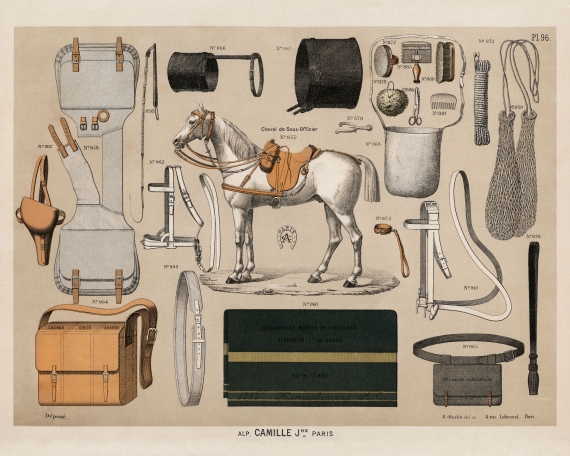 Horse with antique horseback riding equipments