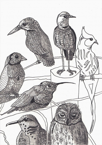 Laura Rumi - Birds