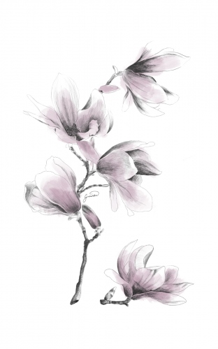 Małgorzata Goczewska - Pencil Flowers. Magnolia