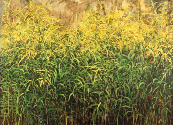 Aleksandra Rey - Canadian goldenrod from the series Herbarium (part 1 /left from diptych)