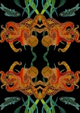 Octopus pattern - Laura Rumi