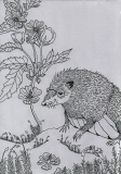 Lady hedgehog - Laura Rumi