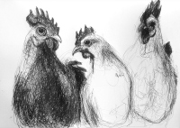 Chicken, Karolina Kucharska