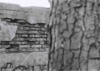 Tekstura (2) Mur, Dyptyk - Dorota Rucińska
