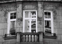 Okno na Wilczej - Dorota Rucińska