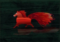 Fire Horse - Dorina Maciejka