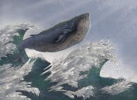 Mali podróżnicy- wieloryb - Marcin Minor