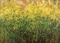 Canadian goldenrod from the series Herbarium (part 1 /left from diptych), Aleksandra Rey